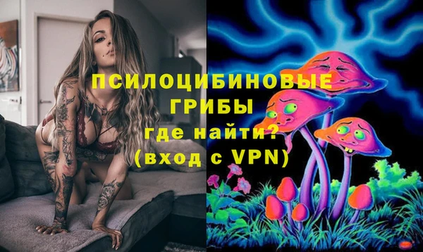 spice Касимов