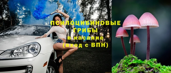 spice Касимов