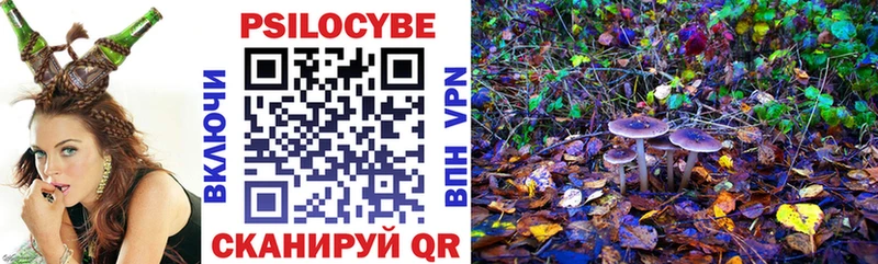 Галлюциногенные грибы Magic Shrooms  Купить закладки  Нарткала 